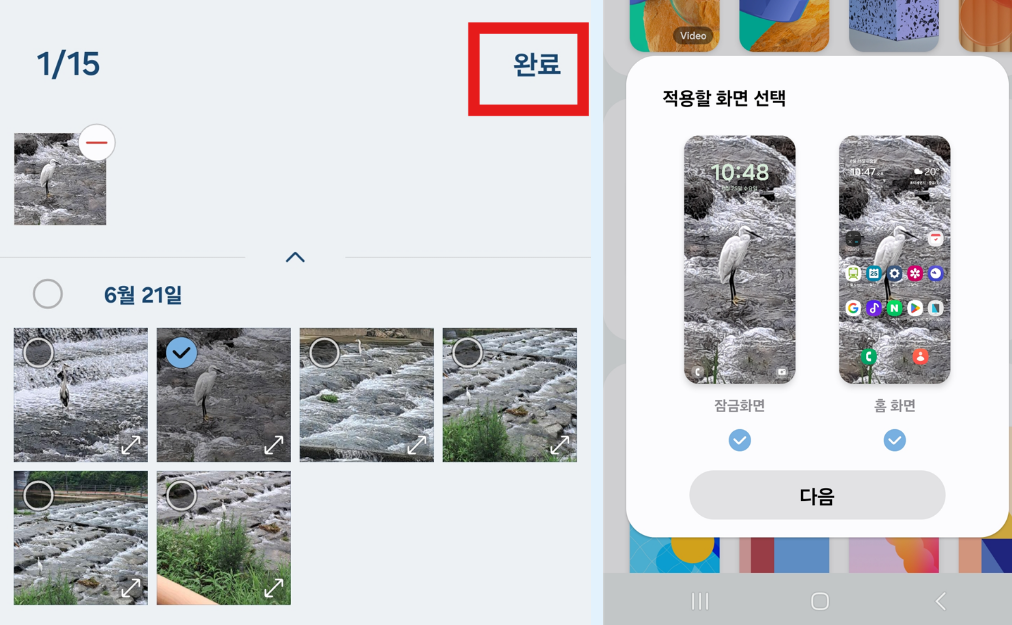 5. 원하는 사진 고르고 적용하기