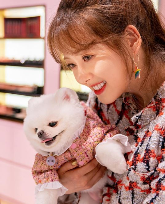 도도솔솔라라솔
