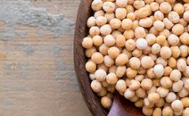 병아리콩 과다 섭취