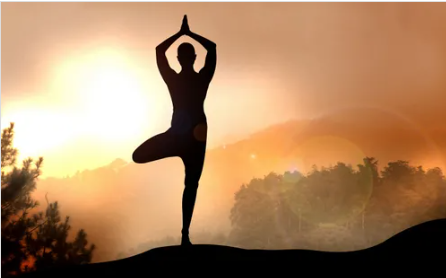 요가 관련 사진