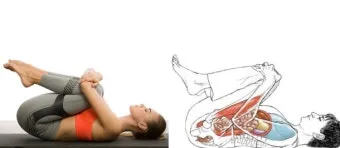 배에 가스가 차고 방귀를 자주 뀜 원인부터 해결책까지 한번에 알아보기_21