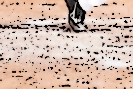 Tile 14