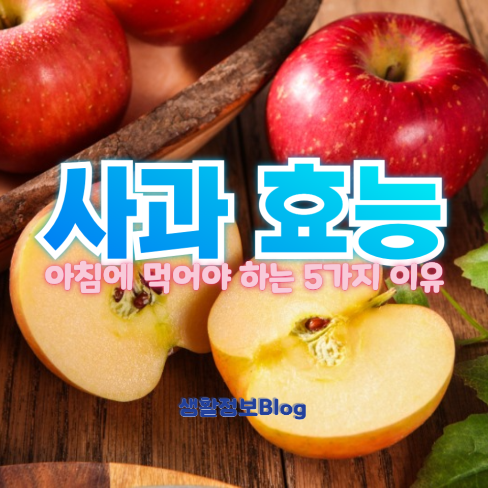 사과 효능