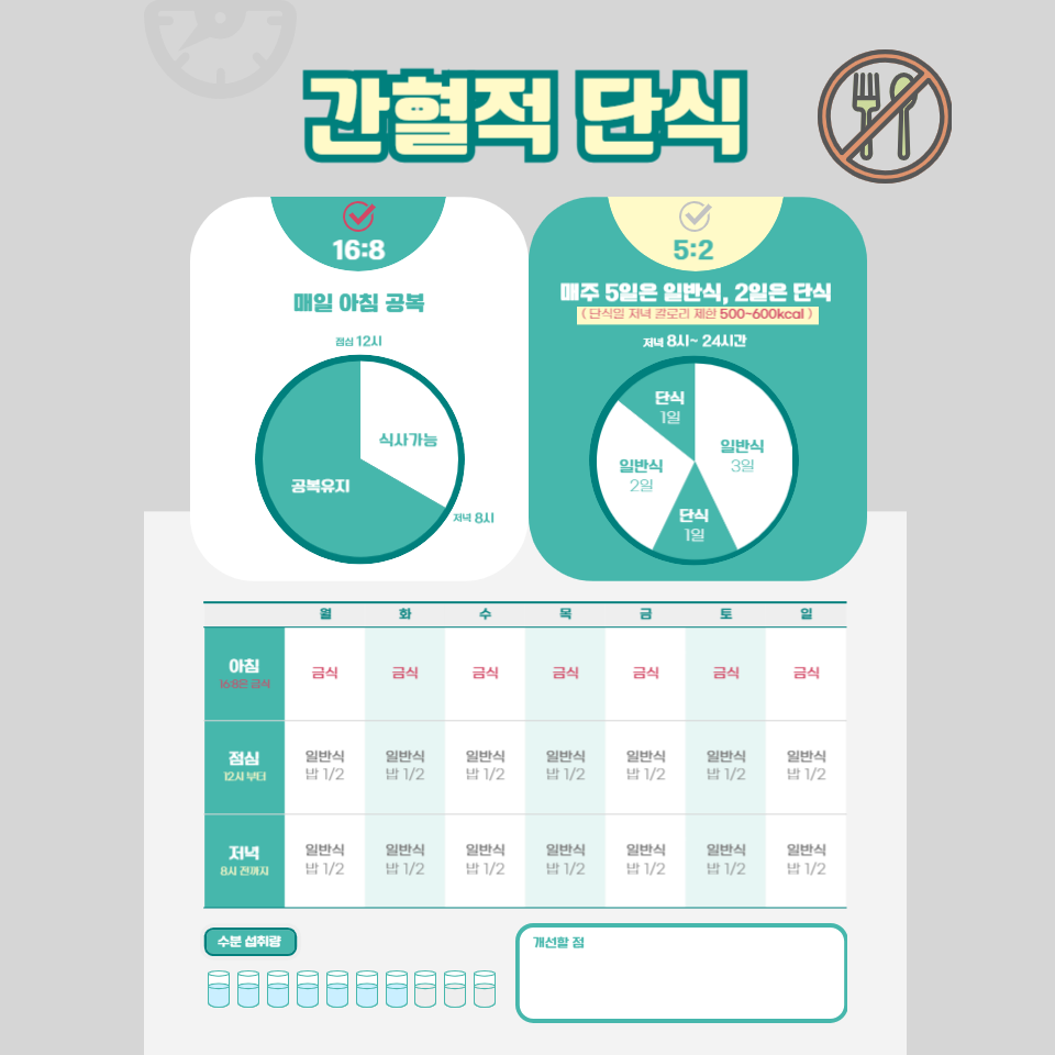 16:8 간헐적 단식 가이드