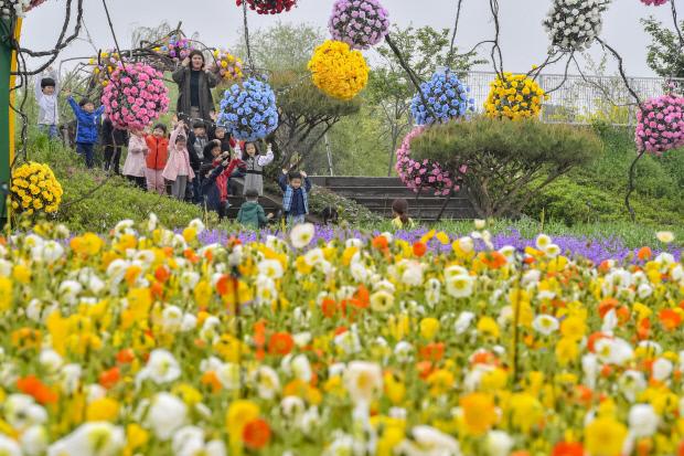 2025 함평나비축제