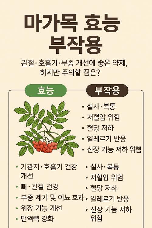 마가목 효능 부작용