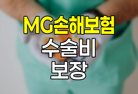 MG손해보험 십자인대&middot;반월판연골&middot;아킬레스건수술비 보험 상세 분석