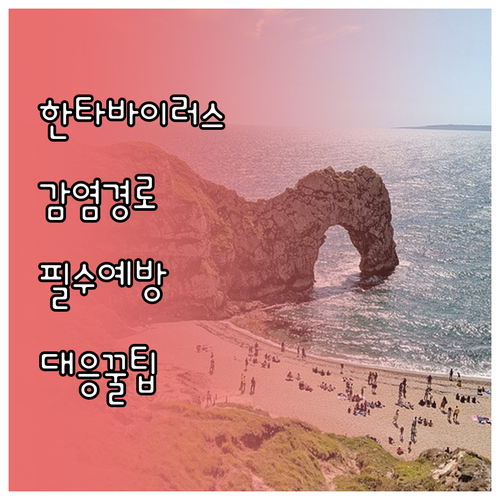 한타바이러스 감염 경로와 예방 수칙 ..