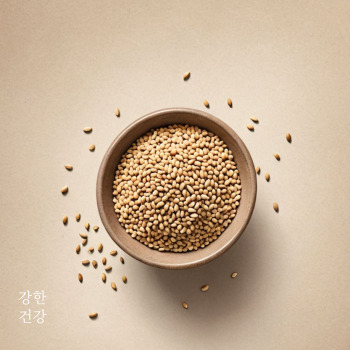참깨 파종시기