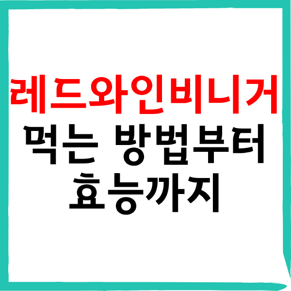 레드와인비니거 먹는 방법부터 효능까지