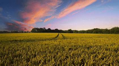 2024 기본형 공익직불금 신청자격 대상 신청방법