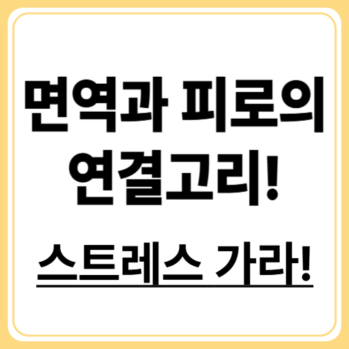 만성피로증후군 원인! 스트레스와 면역 체계의 관계
