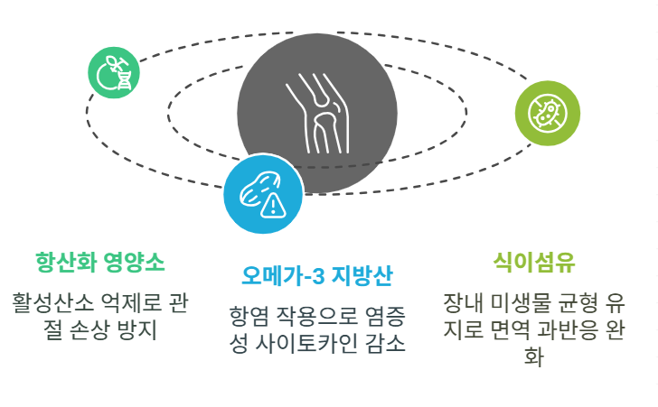 류마티스 관절염에 대한 영양소의 역할