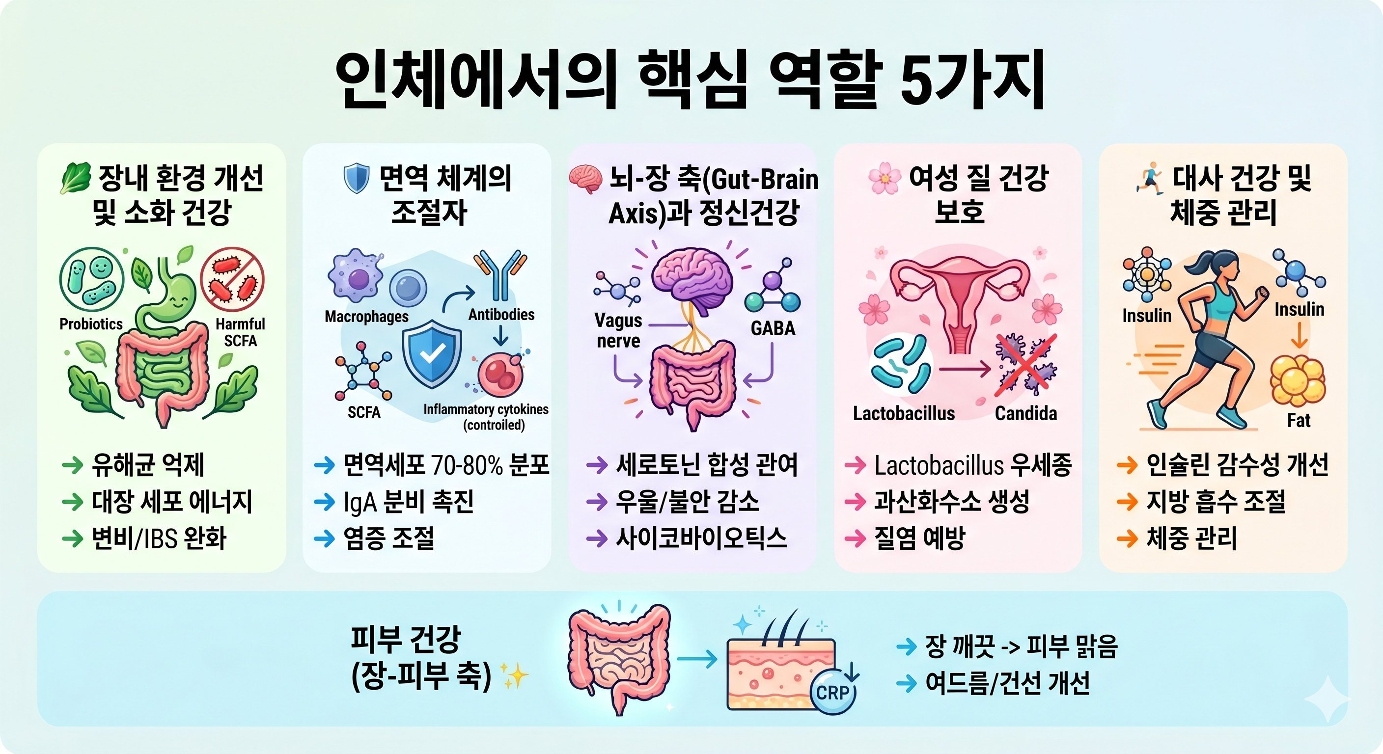 유산균의 핵심역할 5가지를 이해하기 쉽게 그림으로 표현한 그림
