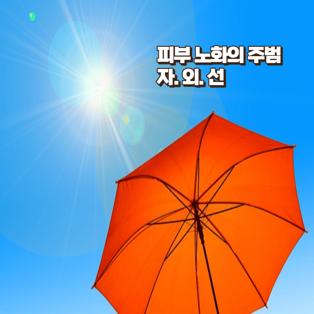 기미 없애는 방법