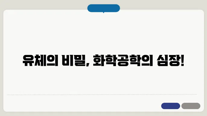 화학공학에서의 유체 흐름 유형