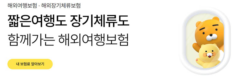 이미지 출처 - 카카오페이 손해보험 이미지