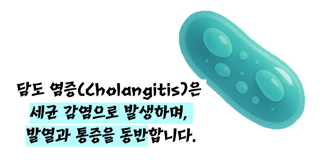 담도암 이란 / 담도암 증상