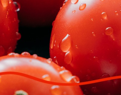 지방간에 좋은 음식 10