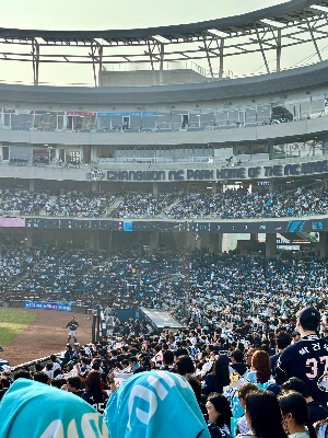 야구는 결국 사람 이야기다