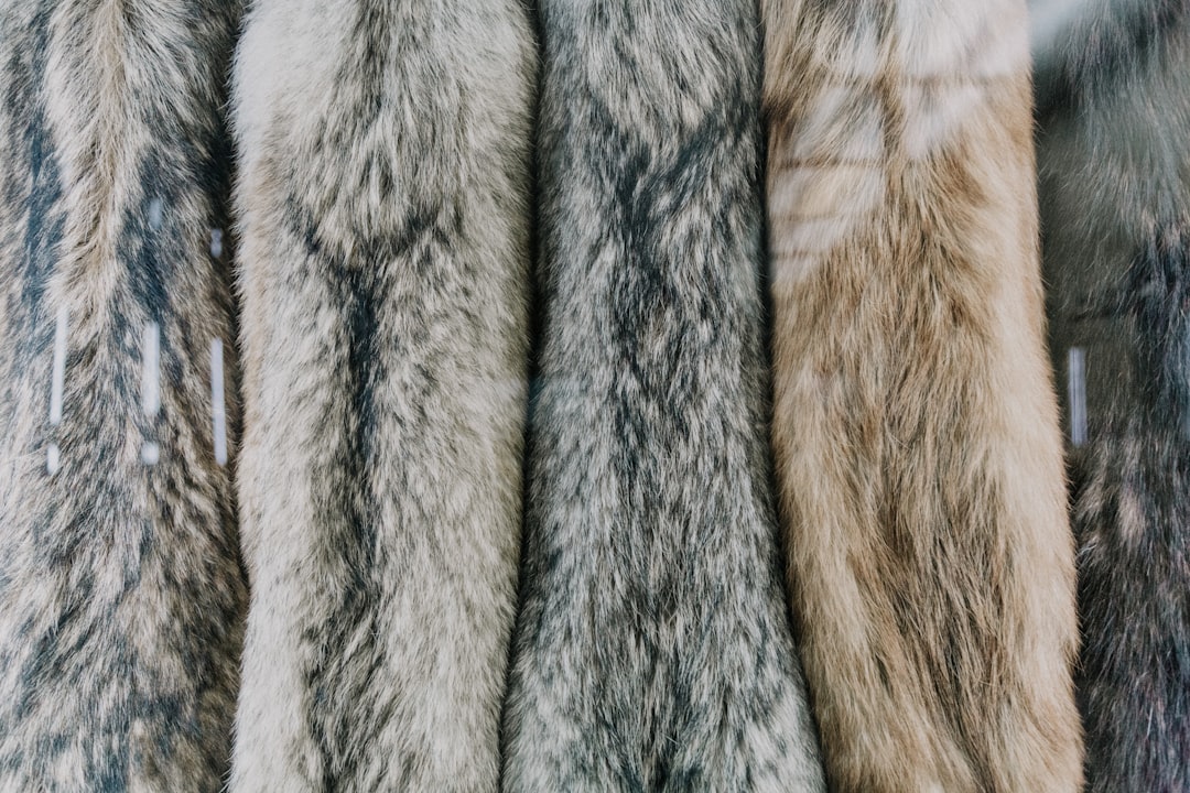 Fur