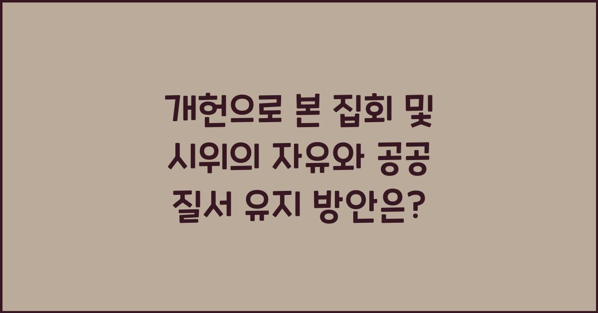 개헌, 집회 및 시위의 자유, 공공 질서 유지 방안은?