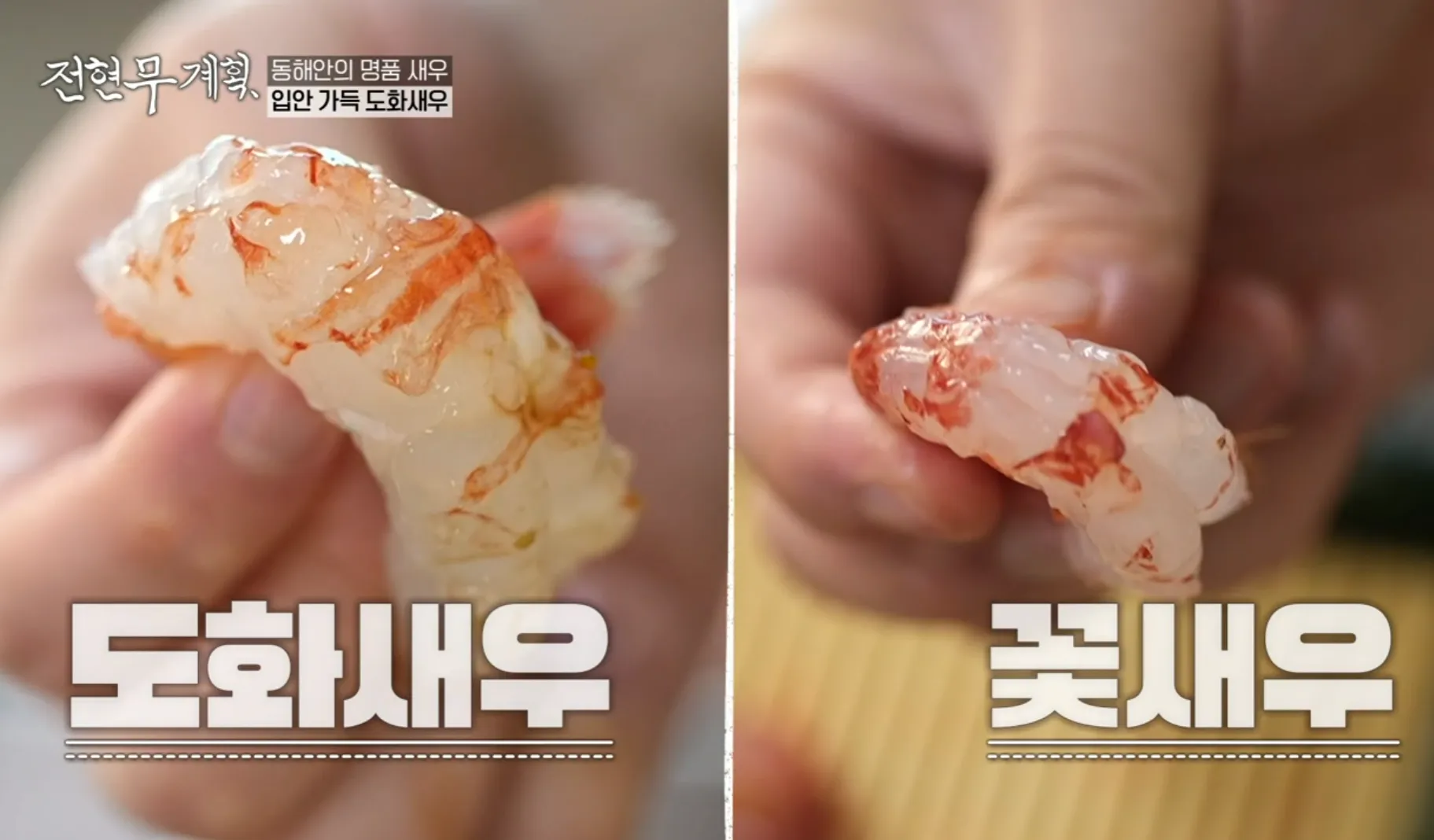 전현무계획 10화 속초 아지트 꽃새우 도화새우회