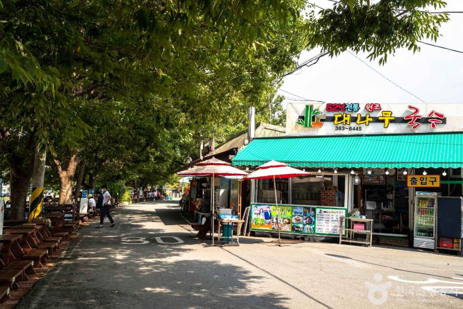 담양 가볼만한곳 베스트10