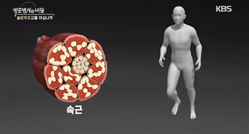 슬로우조깅을 아십니까