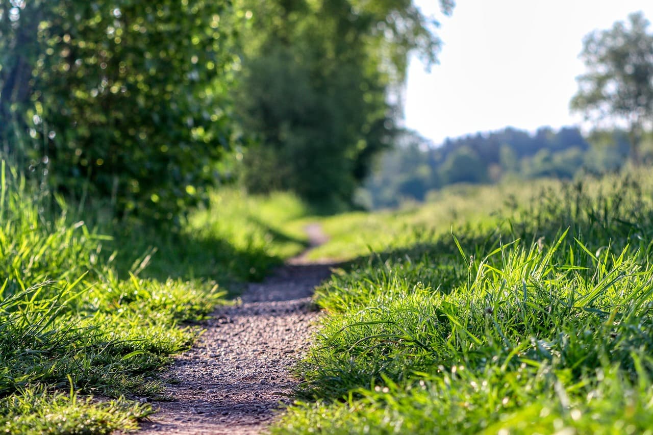 조선시대 ‘걷기 습관’ 콘텐츠화 전략: 산책, 왕복 보행, 장거리 이동에 대한 건강 시각