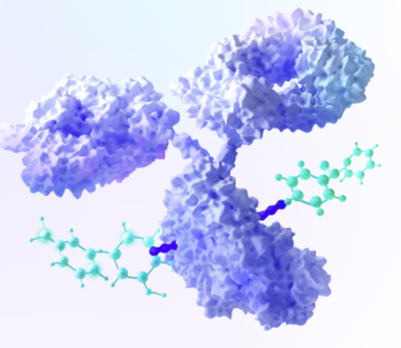항체-약물 접합체(ADC) 치료제의 혁신과 적용 사례
