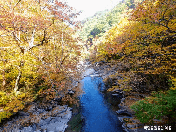 함양 칠선계곡