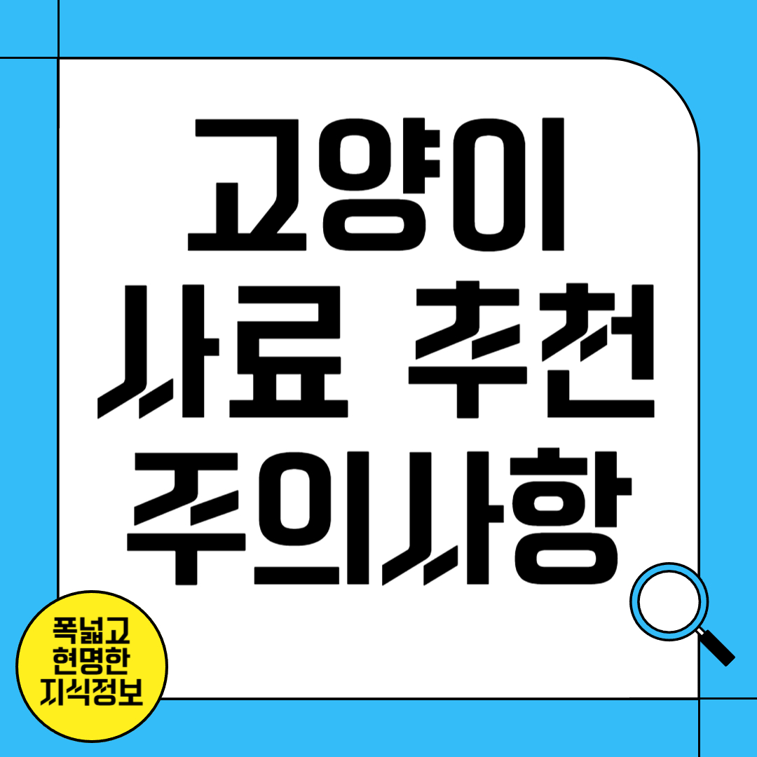 고양이 사료 추천 및 주의사항