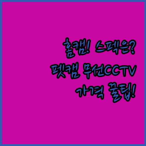 홈캠 CCTV 구매 가이드 무선 현관..