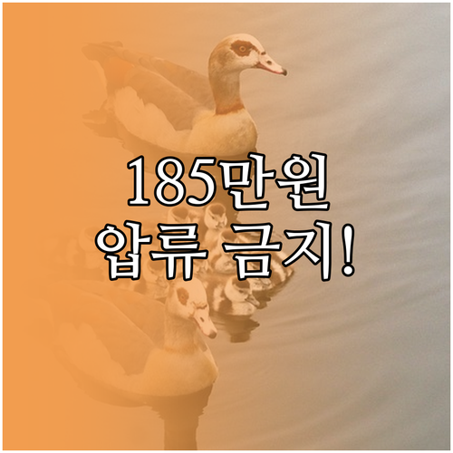 채무자 생존권 보호를 위한 월 185..