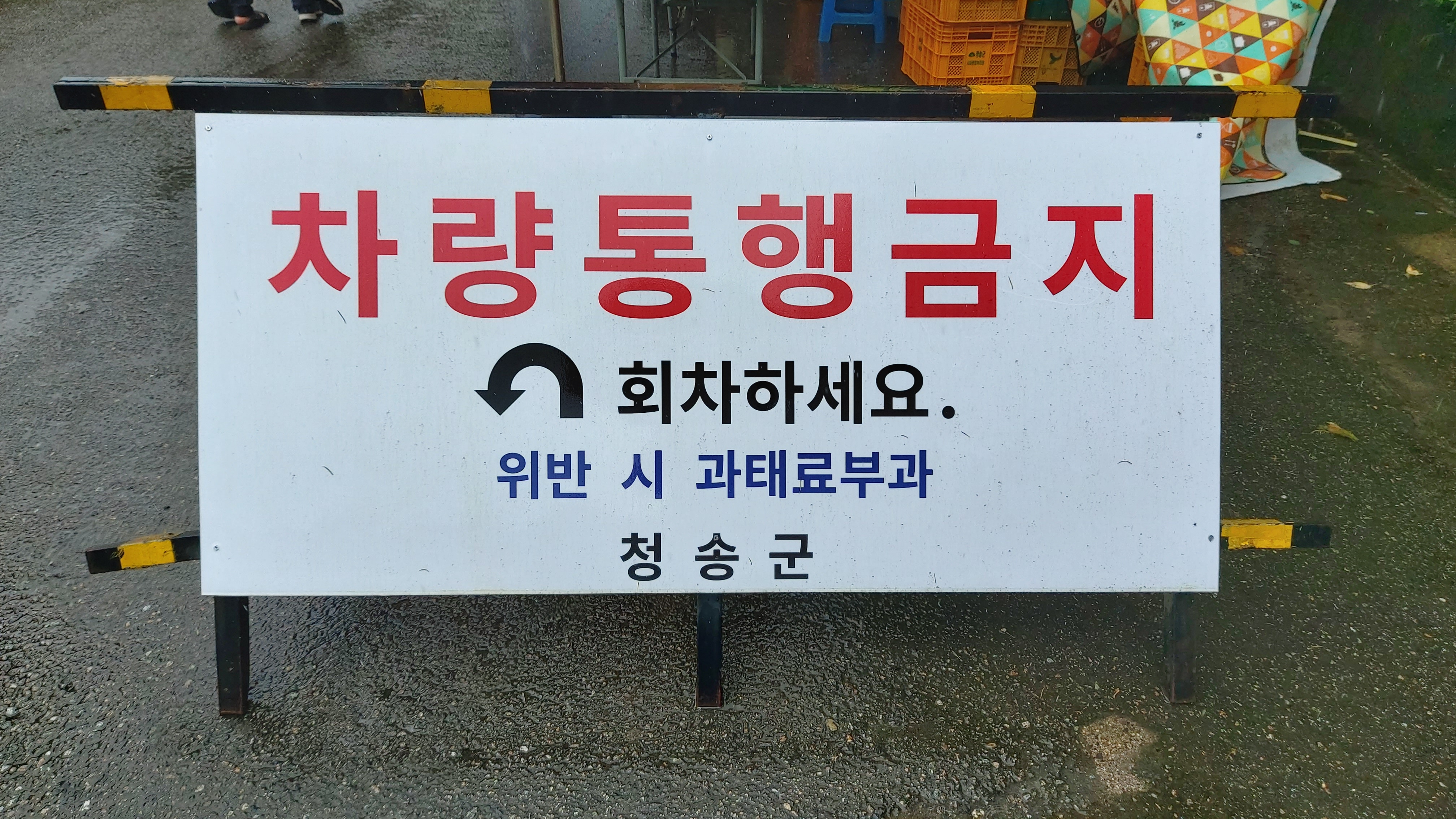 경북 청송군 주산지 차량이용불가