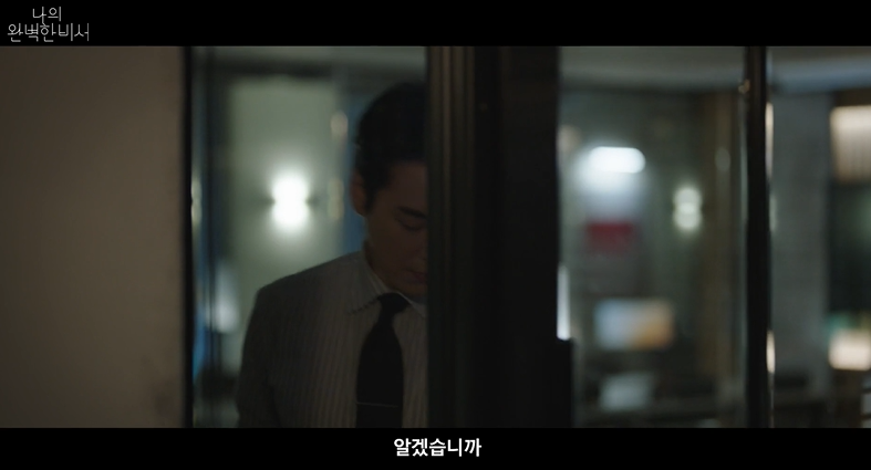 나의 완벽한 비서 정보