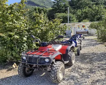원주 용수골 가을꽃축제_20