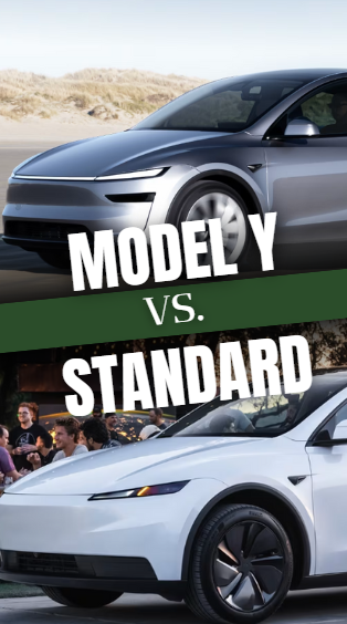 모델 Y 스탠다드