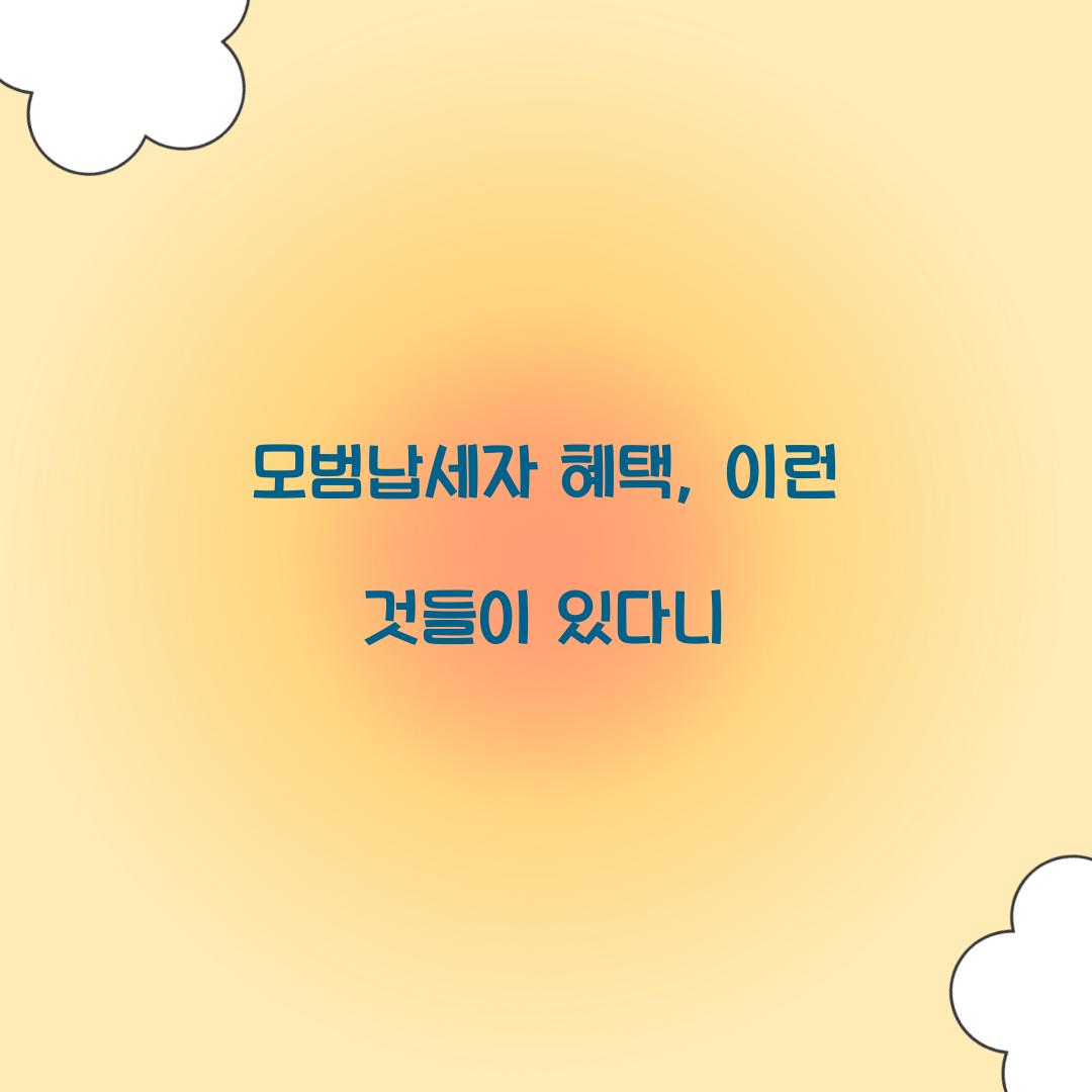 모범납세자 혜택