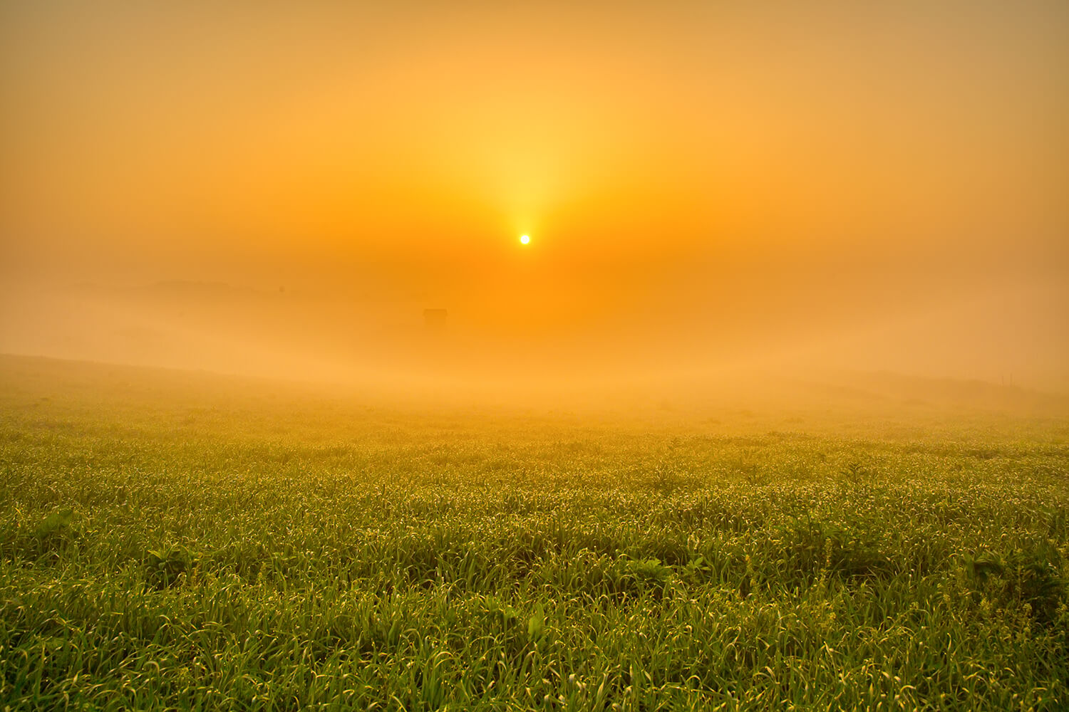 안성목장 일출1