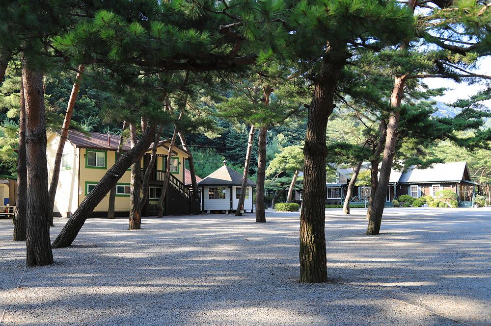 인생캠핑장, 영월 솔밭캠프장 소개