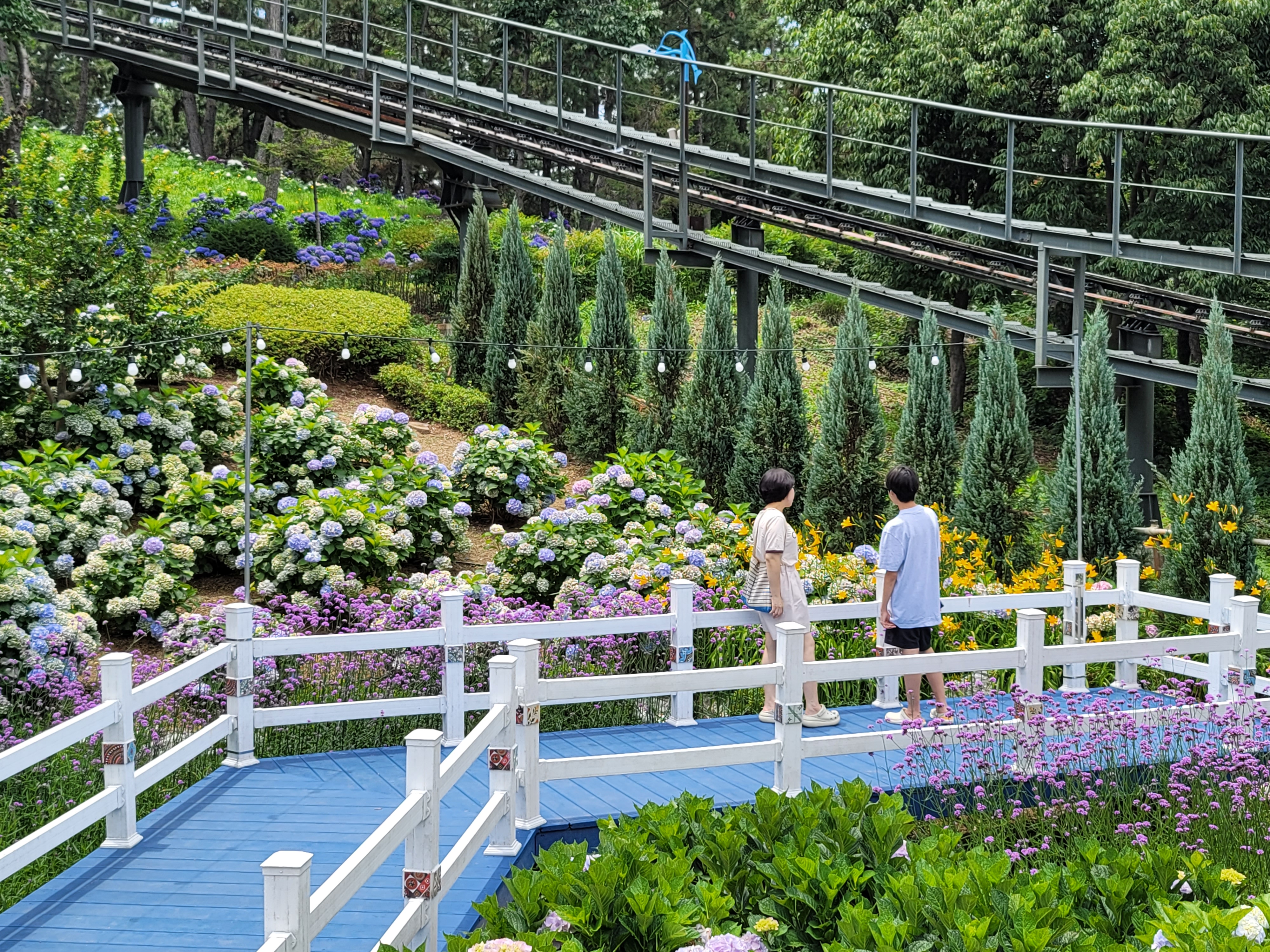 장생포 고래문화마을 오색수국정원