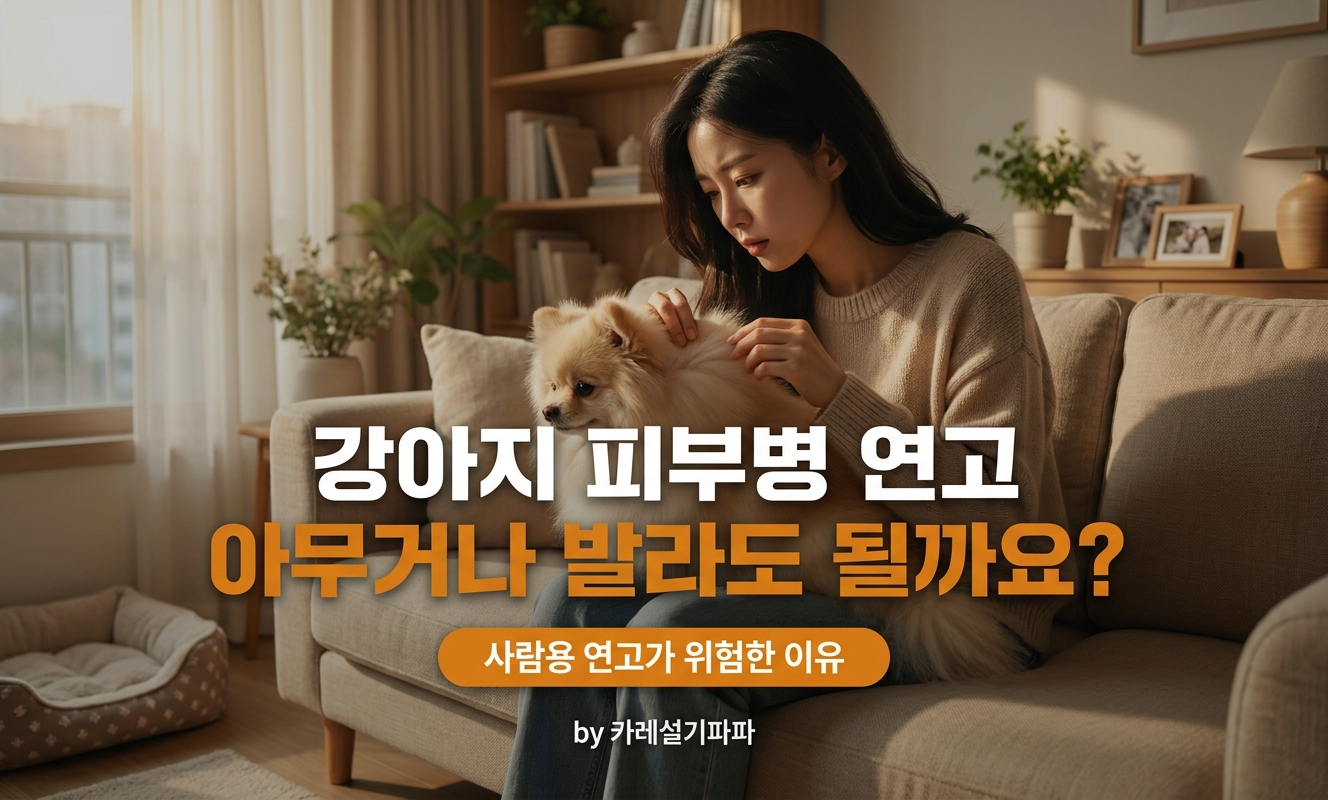 피부 살펴보는 포메라니안과 보호자