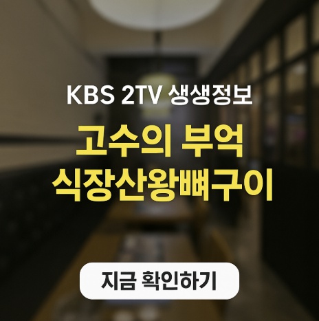 KBS 2TV 생생정보