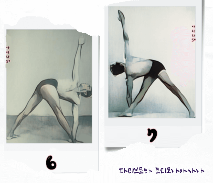 파리브르타 트리코나아사나