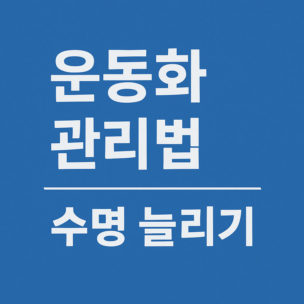 운동화 관리법으로 수명 늘리기