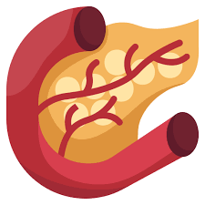 콩팥이 안 좋으면 나타나는 증상