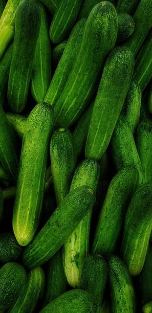 과민성장 증후군&amp;#44; 저포드맵 식단 관리