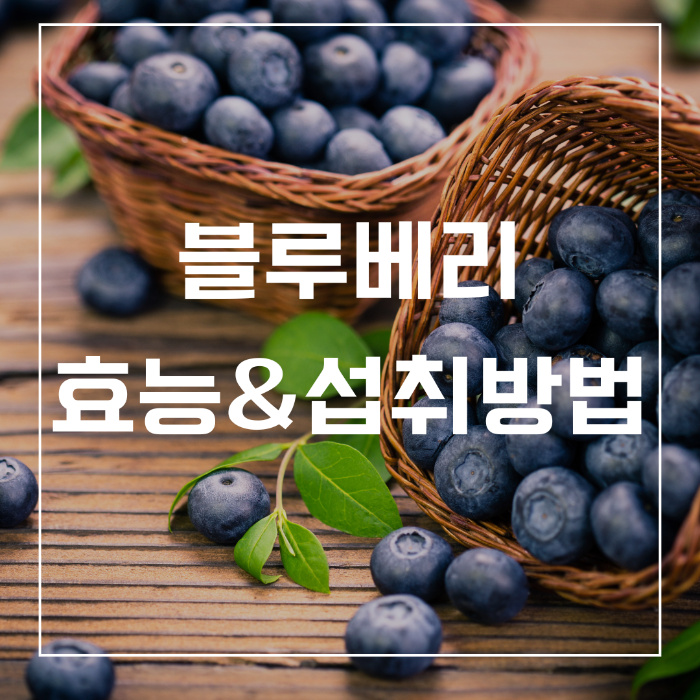 블루베리 효능과 섭취방법